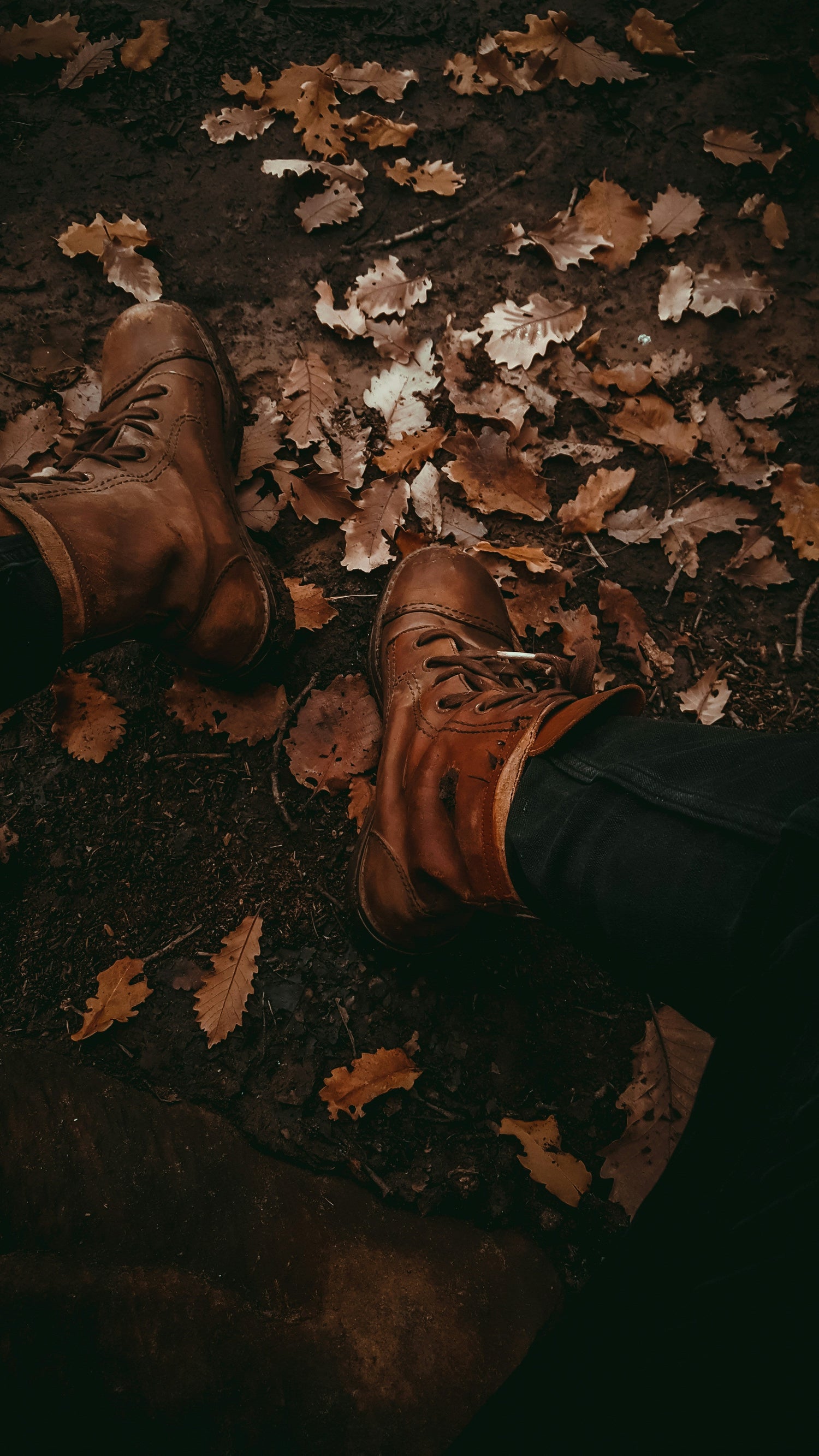 The Seasonal Autumn Line